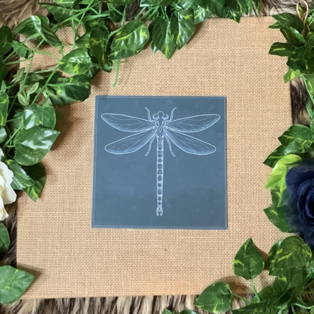Square Print - Dragonfly