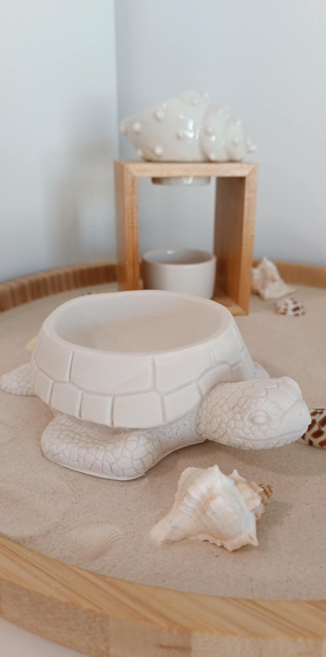 Vide poche Tortue de mer