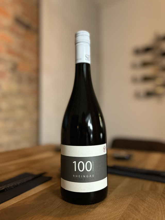 2008 100% Burgunder (Früh- und Spätburgunder im Barrique) Rhg. 0,75L