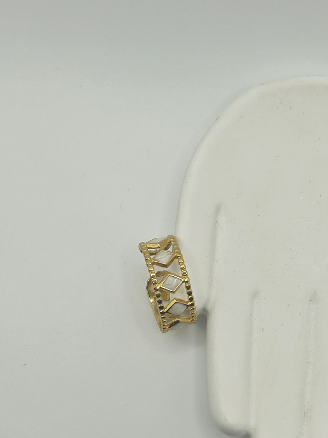 Stainless Steel Ring (SSR140J)
