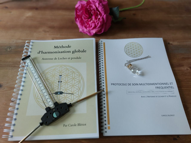 Formation Antenne de Lecher Tome 1 et 2 avec ses 5 planches plastifiées