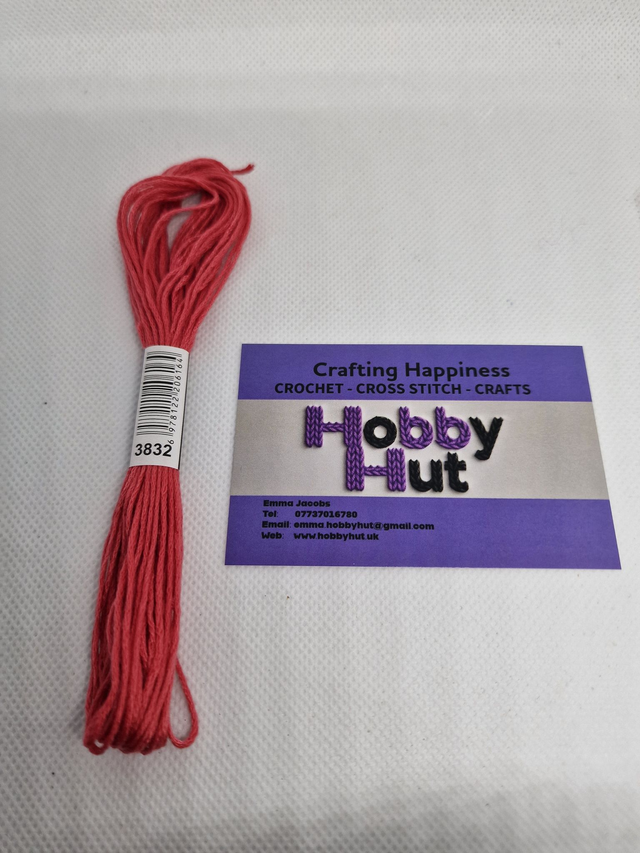 Embroidery Thread - 3832