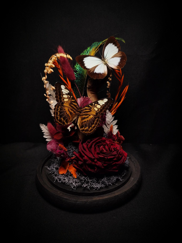 Diorama Papillons Rose éternel 