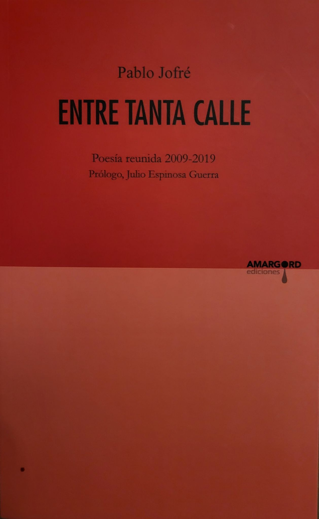 Entre tanta calle - Pablo Jofré