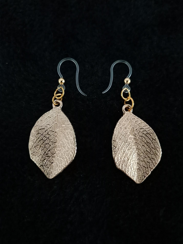 Boucles d'oreilles Doré 