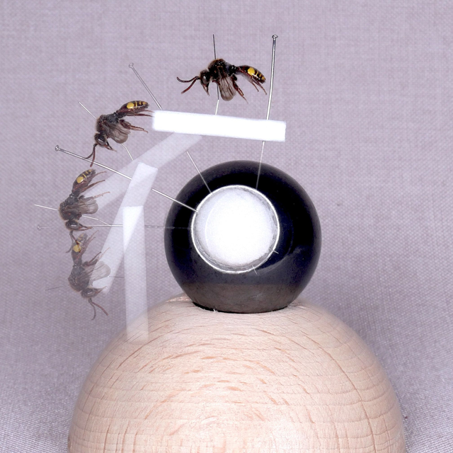 ArthroSphere Microscopy Accessory