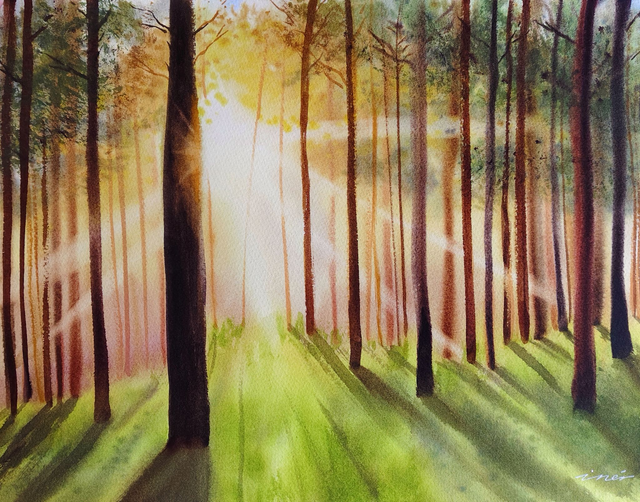 Atardecer en el bosque - 31 x 41 cm 