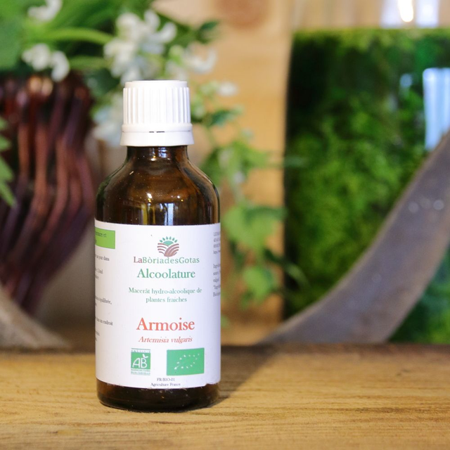 Alcoolature Armoise
