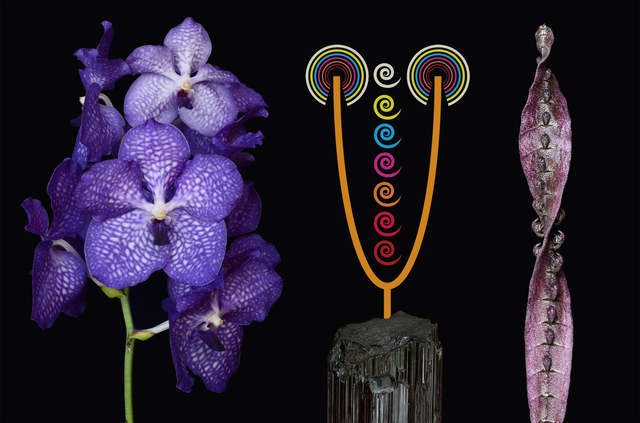 Clarity of Connection Combination Essence