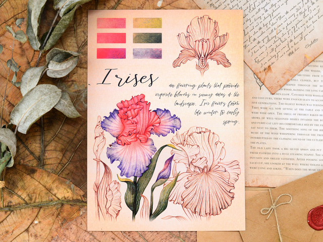 &quot;Iris Flowers&quot; Poster A4