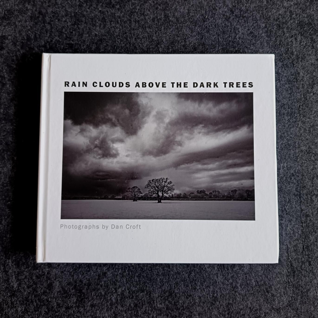 Rain clouds above the dark trees - Book