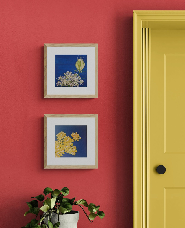 Huile sur toile | CAROTTE SAUVAGE