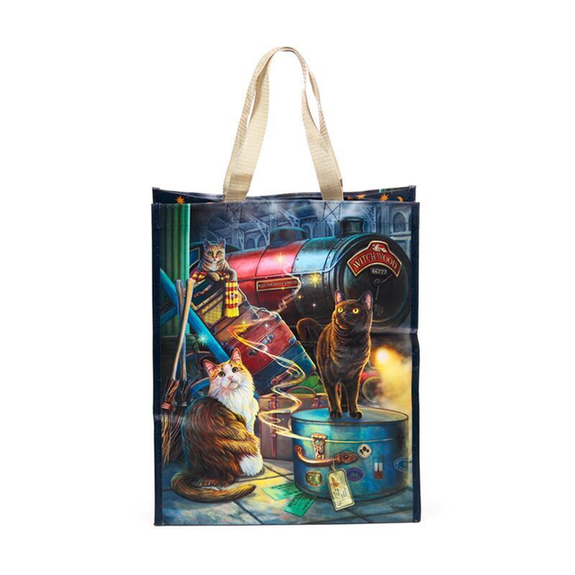 Chat du Witchwood Express