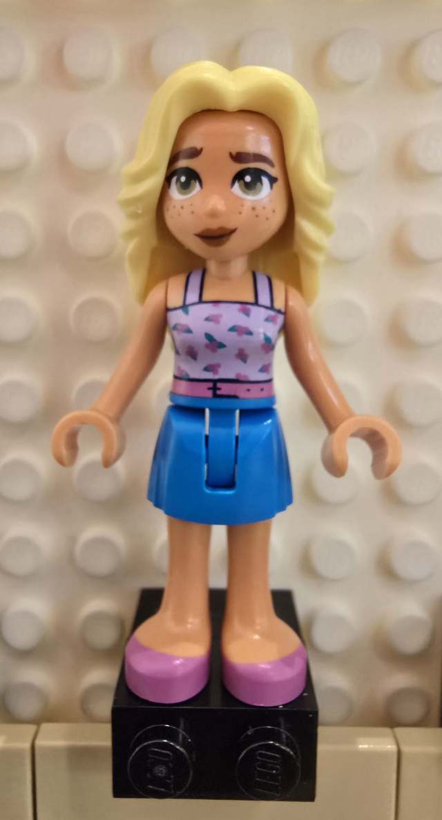 LEGO frnd645 Dia Minifigur