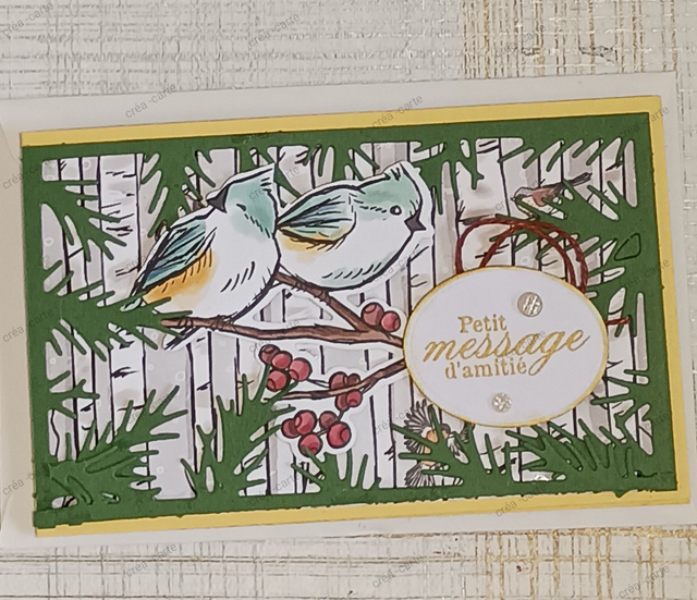 Couple d&#039;oiseaux