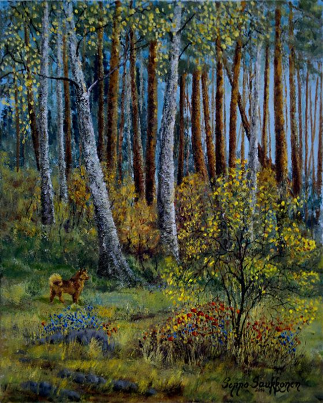 Suomen pystykorva (60x50 cm)