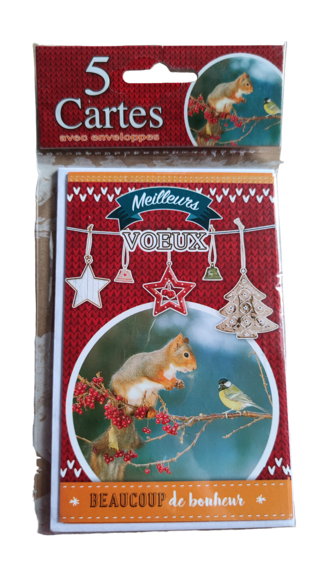 Lot de 5 cartes de vœux