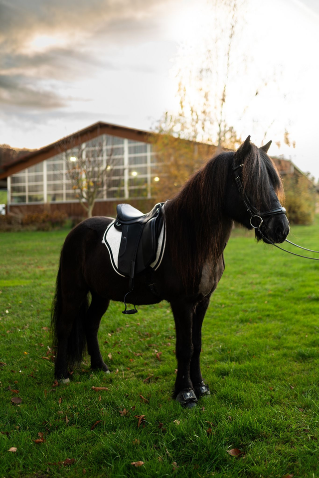 Island Satteldecke "Fagrí"