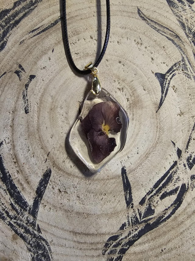 Pensée violette foncée