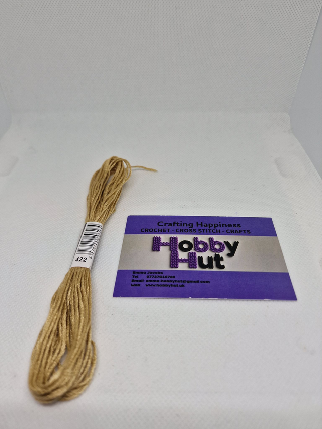 Embroidery Thread - 422