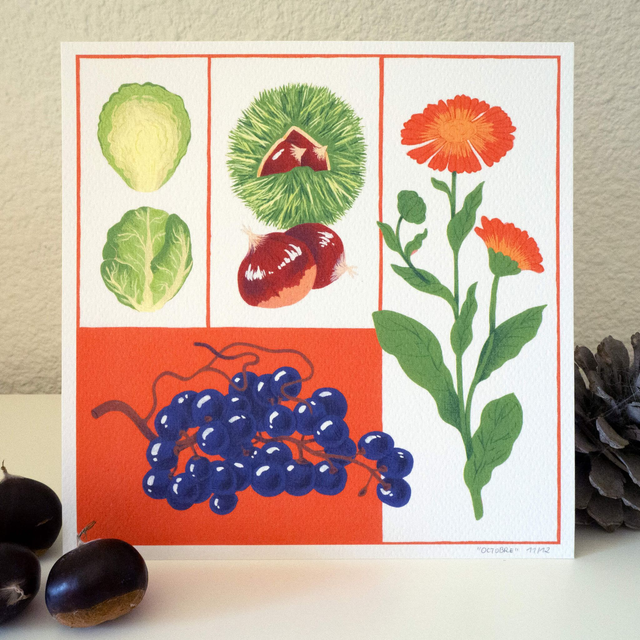 Illustrations du calendrier 2024