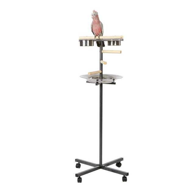  Sky Pet Products Little T Bird Stand 