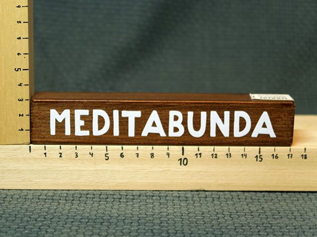 Palabra L MEDITABUNDA