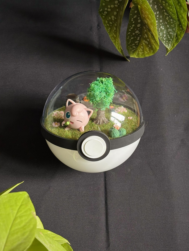 🌼 Terrarium Pokémon - Édition printemps -  Rondoudou