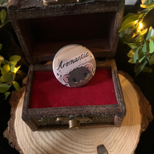 Chapa LGBTQ+ Rats // Aromantic