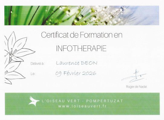 Soin Infothérapie à distance (sans la Solarisation)