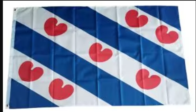 Grote vlag Friesland (150x90cm)