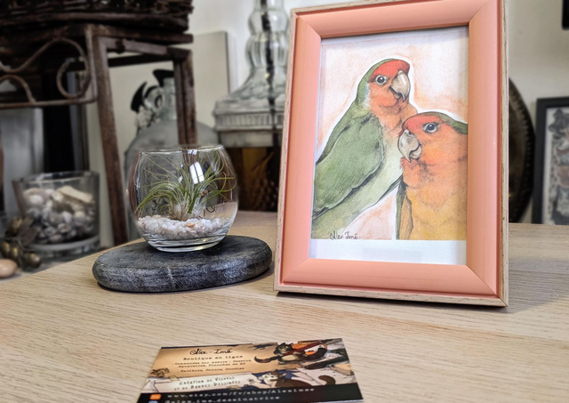 Inséparables de Fisher, illustration originale, encadrée