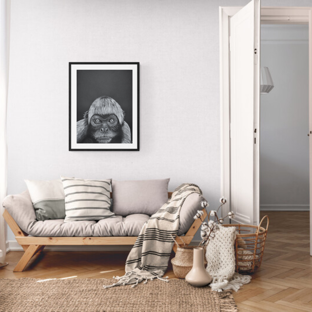 Atèle varié de colombie - Aquarelle originale