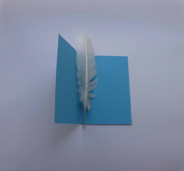 Bonne année avec les dauphins