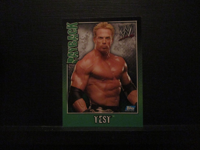 Test - Payback Original Trading Card #66