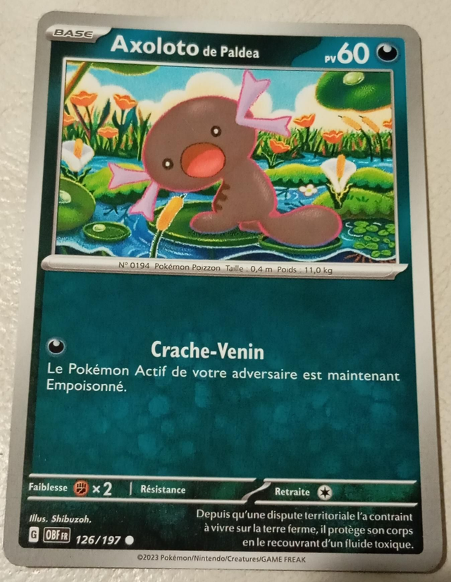 Carte pokémon Axoloto