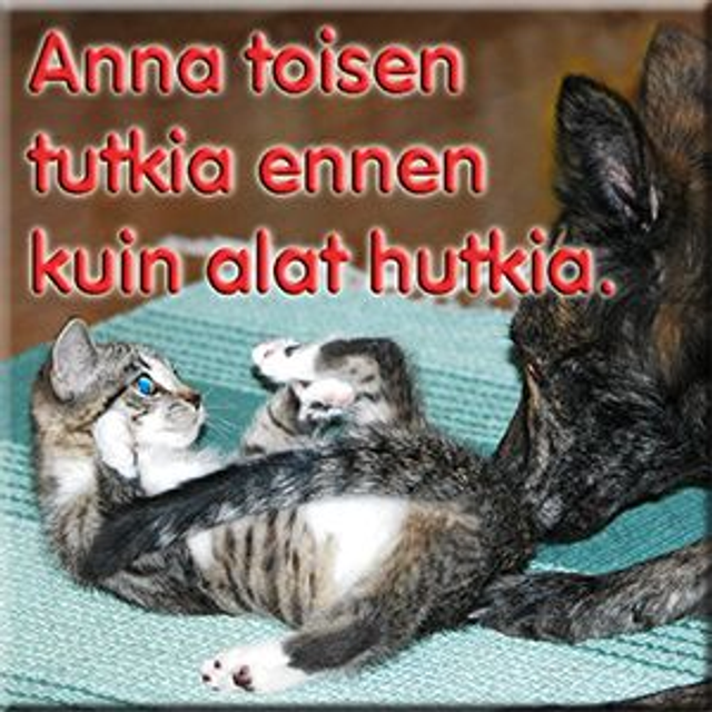 Magneetti "Anna toisen"