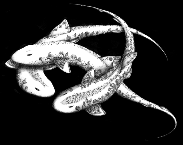 Roussettes - Edition Art