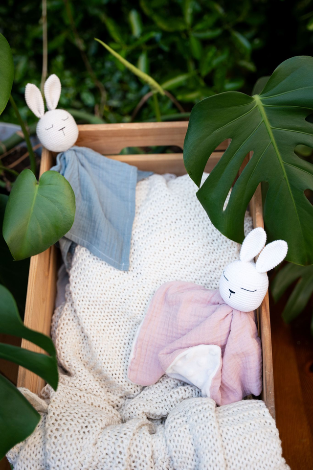 Lapin