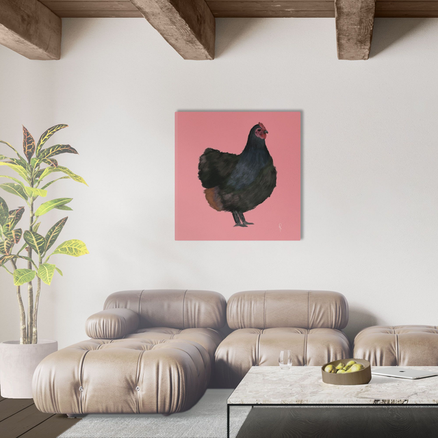 Australorp Rosa