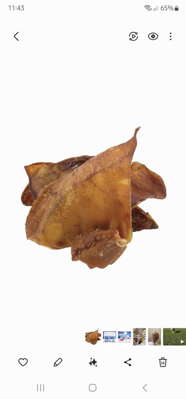 Pigs ear
