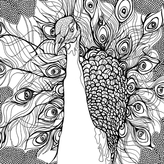 B&W A3 print - peacock