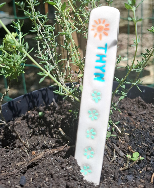 Étiquettes en céramique thym pour jardin potager