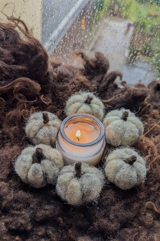 Citrouilles en laine feutrée