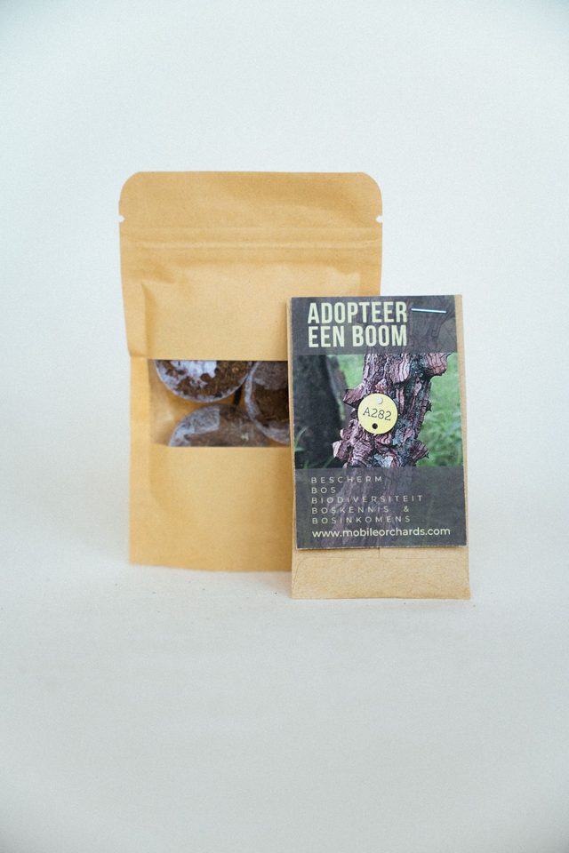 Bonsai set, 3 zweltabletten plus zaden, en aanplant 1 stek in bij Minamba Research Farm