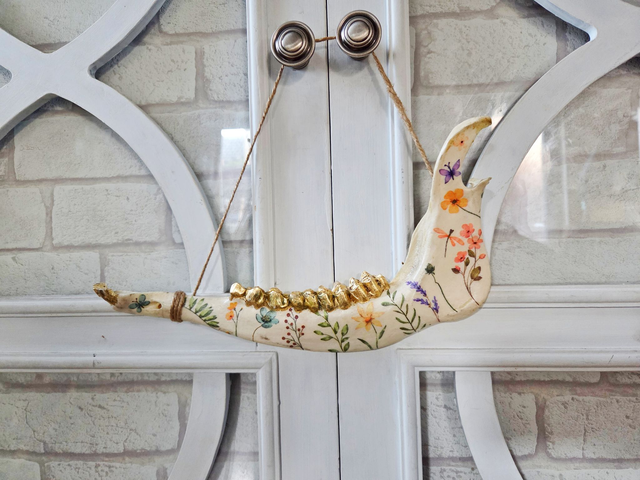 Decorative Fallow Deer Jaw Bone - Floral Design