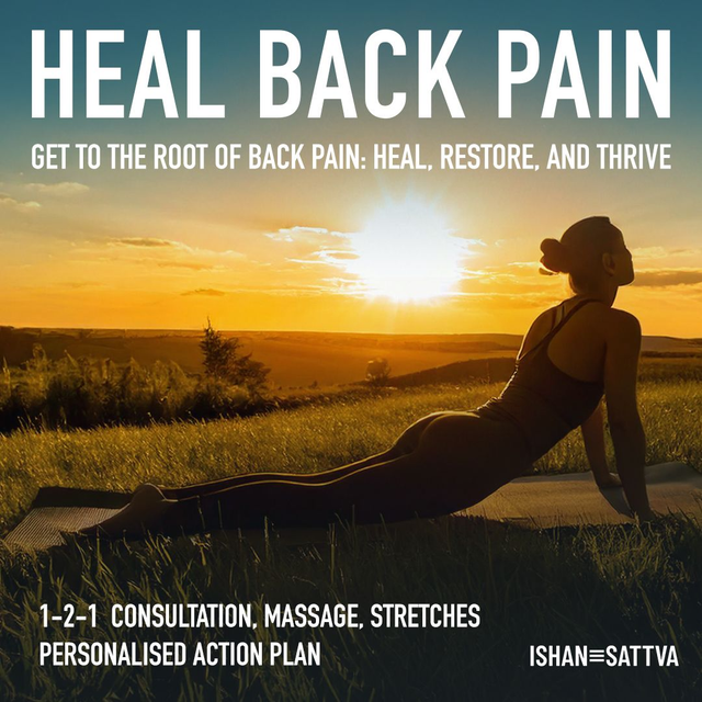 Heal Back Pain Program