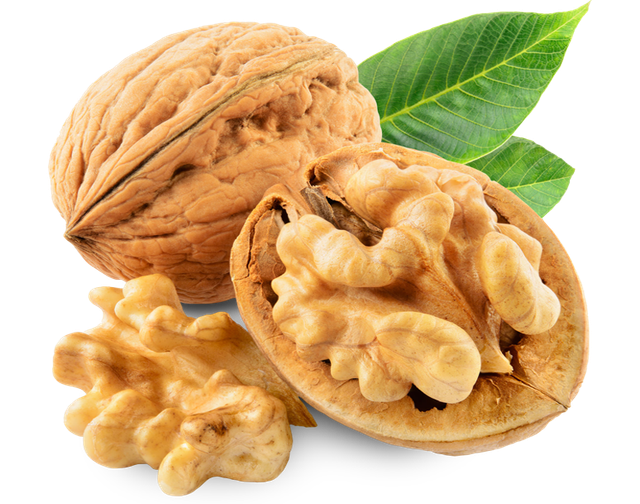 WALNUTS