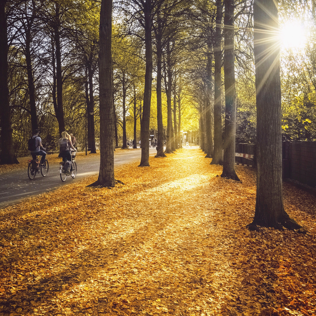 Herbstlicht auf der Promenade