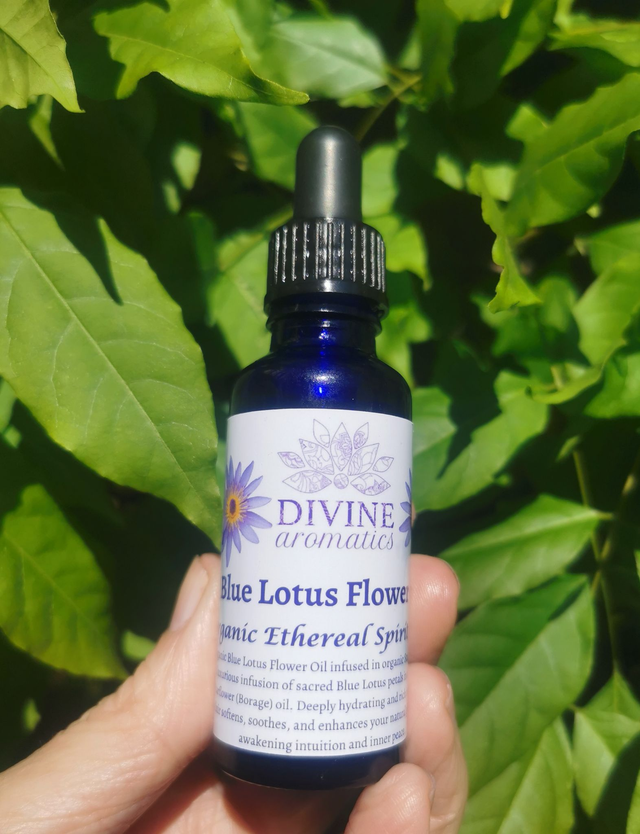 Organic Blue Lotus Flower Oil | Infused in Organic Starflower Oil | 30ml 🌿✨